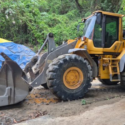 8c419852-91b3-4c34-8977-8e87373397fa